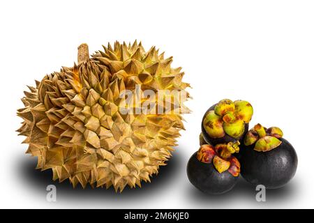 Nahaufnahme von Durianfrucht und Mangostan auf weißem Hintergrund in Seitenansicht. Stockfoto