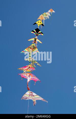 Eine Reihe farbenfroher Drachen, die am blauen Himmel fliegen Stockfoto