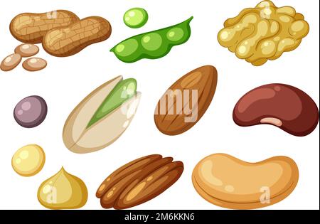 Group of protein foods illustration Stock Vektor