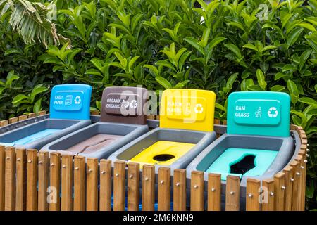 Farbige Abfallbehälter für die getrennte Mülltrennung. Behälter zum Recycling verschiedener Abfallarten Kunststoff, Glas, Papier, T Stockfoto