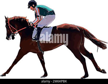 Rennpferd mit Jockey bei Rennen. Isoliert auf weißem Hintergrund Stockfoto