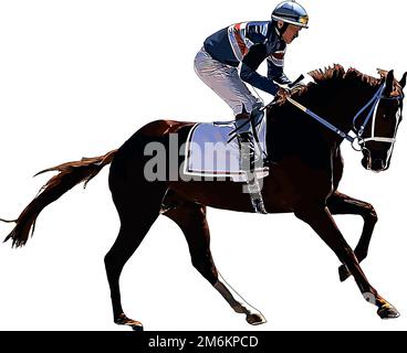 Rennpferd mit Jockey bei Rennen. Isoliert auf weißem Hintergrund Stockfoto