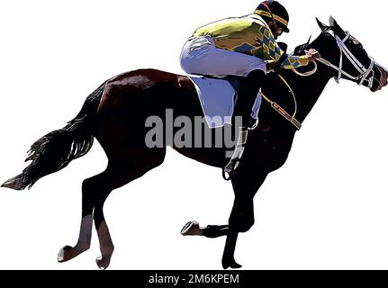 Rennpferd mit Jockey bei Rennen. Isoliert auf weißem Hintergrund Stockfoto