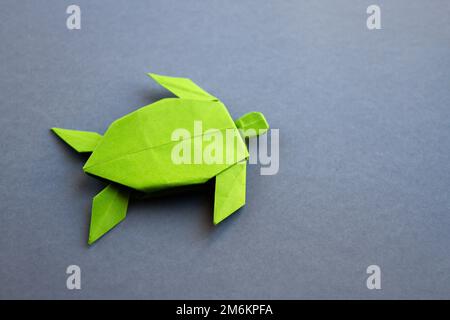 Grünes Papier Schildkröte Origami isoliert auf einem grauen Hintergrund Stockfoto