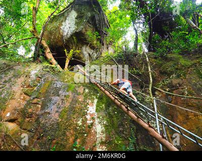 Regenwald Dschungel Phu Quoc Nationalpark, Vietnam, Südostasien #Asien #Vietnam #Südostasien #Langsamfahrt #Loveasia Stockfoto