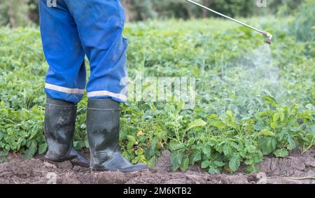 Ein Landwirt, der Insektizide auf seine Kartoffelernte aufbringt. Die Beine eines Mannes in persönlicher Schutzausrüstung zur Anwendung von Pestiziden Stockfoto