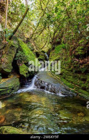 Kleiner Bach mit Wasser, das zwischen den moosbedeckten Felsen und der Regenwaldvegetation fließt Stockfoto