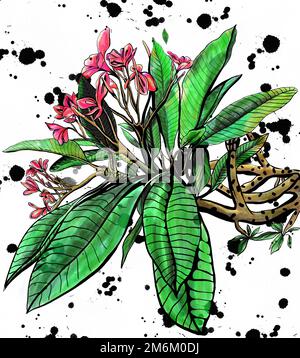 Schöne Aquarell Orchidee Blumen auf weißem Hintergrund. Rosafarbene Orchideen Stockfoto