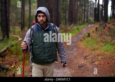 Auf den Weg. Ein gutaussehender Mann, der in einem Pinienwald mit nordic Walking-Stöcken wandert. Stockfoto