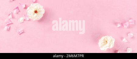 Blumenpanorama mit weißen Rosen und Blütenblättern auf pinkfarbenem Hintergrund Stockfoto