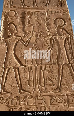 Hieroglyphische Reliefdetails vom Ramesseum, Gedenktempel oder Leichentempel des ägyptischen Pharaos Ramesses II, Teil der Thebanischen Nekropole auf t Stockfoto