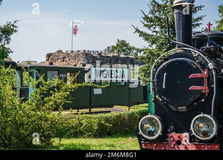 Alte Lokomotive im Schmalspurzugmuseum Stockfoto