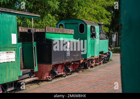 Alte Lokomotive im Schmalspurzugmuseum Stockfoto