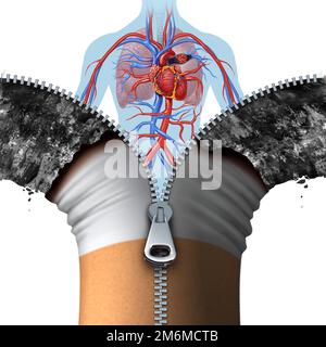 Zigaretten- und Herz-Kreislauf-Konzept und Anti-Rauchen-Symbol als Tabakprodukt geöffnet mit einem 3D-mm-Reißverschluss und einem gesunden menschlichen Herz Stockfoto