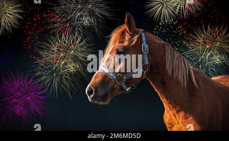 Pferd vor Feuerwerkshintergrund. Stockfoto