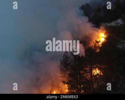 Panoramablick aus der Luft auf einen Waldbrand bei Nacht, starker Rauch verursacht Luftverschmutzung und Feuer in voller Flamme. Naturkatastrophen-Epos Stockfoto