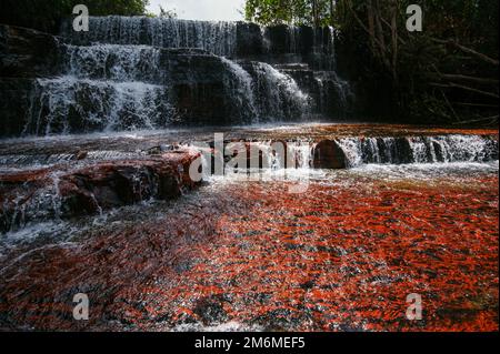 Quebrada de Jaspe, Jasper Creek Wasserfall mit rotem Stein Flussbett, Gran Sabana, Venezuela Stockfoto