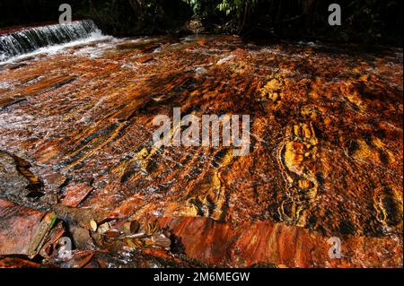 Rotes und orangefarbenes Flussbett von Jasper in Quebrada de Jaspe, Jasper Creek, Gran Sabana, Venezuela Stockfoto