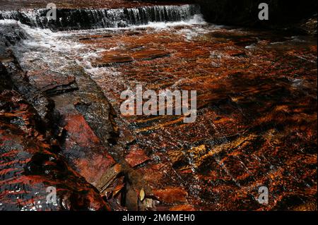 Wasserfall mit rotem Jasper-Flussbett in Quebrada de Jaspe, Jasper Creek, Gran Sabana, Venezuela Stockfoto