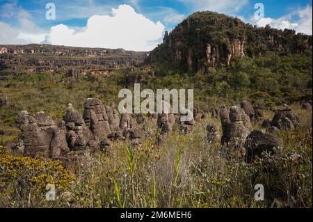 Hügel und Sandsteinfelsen mit schwarzen Säulen und Säulen auf Amuri Tepui, Venezuela Stockfoto