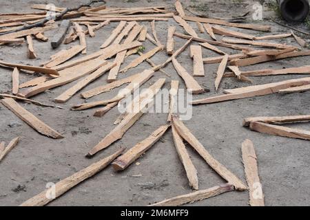 Osttimor, einheimisches Futter aus Palmen in Südostasien. Tropisches Timor. Stockfoto