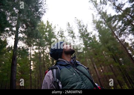 Lass den Wald deine Sinne füllen. Ein gutaussehender junger Wanderer im Wald. Stockfoto