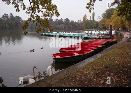 Blick auf Freizeitboote auf dem See im Schlosspark Laxenburg in der Stadt Laxenburg, Österreich. Stockfoto