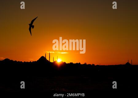 Suleymaniye Moschee und Möwe bei Sonnenuntergang. Silhouette von Istanbul. Islamisches oder ramadan-Hintergrundbild. Stockfoto