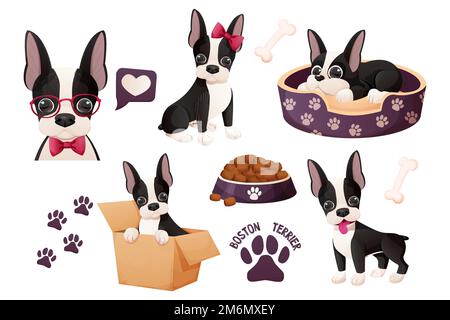 Setze süße Boston Terrier Sticker, cooles süßes Hündchen im Cartoon-Stil isoliert auf weißem Hintergrund. Süßer Hund, Aufdruck. Vektordarstellung Stock Vektor