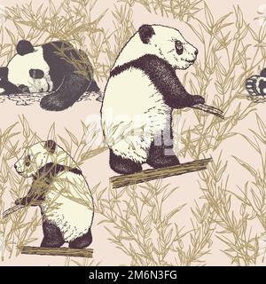 Nahtloses Muster mit einem handgezeichneten Panda im Bambuswald Stock Vektor