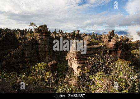 Sandsteinfelsen mit schwarzen Säulen und Säulen auf Amuri Tepui, Venezuela Stockfoto