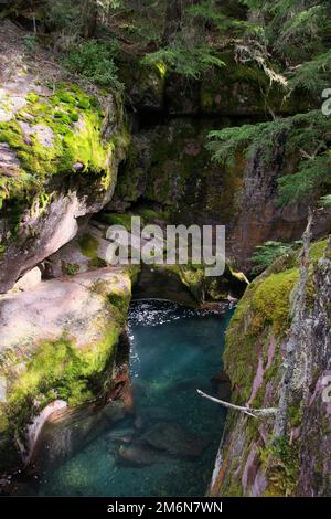 Blick auf den Avalanche Creek in Montana Stockfoto