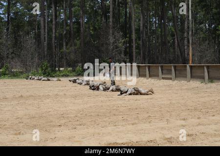 Lance CPL. Aaron Sam, ein Ausbilder des Waffen- und Feldübungsbataillons, bewertet Rekruten während ihres gesamten Lehrgangs während der Basic Warrior Training (BWT) auf Marine Corps Recruit Depot Parris Island, S.C., 3. Mai 2022 in verschiedenen Techniken. BWT ist eine 48-stündige Schulungsentwicklung, die Landnavigation, improvisierte Sprengstofferkennung sowie Brand- und Bewegungstaktiken abdeckt. Stockfoto