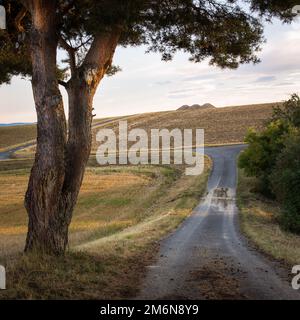 Die Betonstraße, die durch die Landschaft führt, mit natürlicher Landschaft aus Wäldern und landwirtschaftlichen Feldern. Land Stockfoto