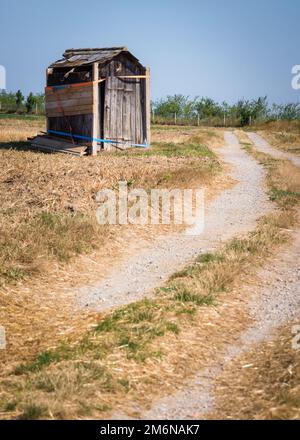 Holz zerstörte Hütte, die sich auf der Wiese anlehnte Stockfoto