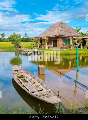 Öko-Bauernhof mit Reisfeld in Zentral-Thailand, Reisfeld während der Regenmonsun-Saison in Thailand Stockfoto