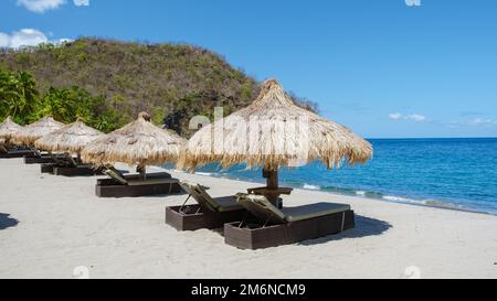 Liegestühle und Sonnenschirme am tropischen Strand von St. lucia, weißer Strand mit Palmen Karibik Stockfoto