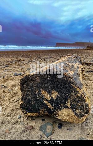 Am Strand angespült mit saltburn Pier und Hunt Cliff im Hintergrund, North yorkshire, großbritannien Stockfoto