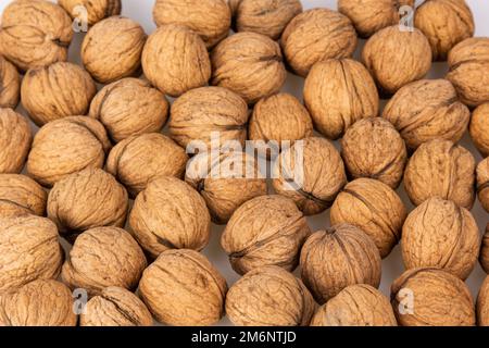 Walnuss in der Schale isoliert auf weißem Hintergrund. Energieschub für den Tag. Der Begriff der richtigen Ernährung. Leckeres Frühstück Stockfoto