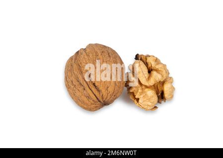 Walnuss in der Schale isoliert auf weißem Hintergrund. Energieschub für den Tag. Der Begriff der richtigen Ernährung. Leckeres Frühstück Stockfoto