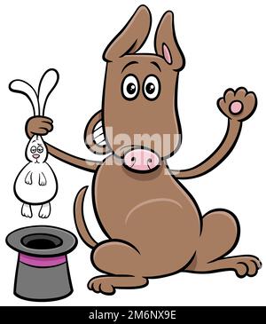 Ein Zauberhund, der ein Kaninchen aus einem Hut zieht Stockfoto
