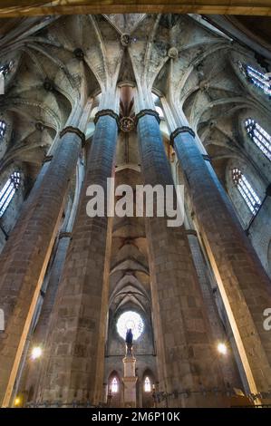 Heilige Maria des Meeres Kirche, Decke, Barcelona, Katalonien, Spanien Stockfoto