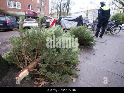 Hamburg, Deutschland. 05. Januar 2023. An einer Straßenecke im Eimsbüttel-Viertel liegen Weihnachtsbäume zur Sammlung bereit. Der kommunale Reinigungsdienst sammelt vom 9. Bis 20. Januar entsorgte Weihnachtsbäume und erwartet nach eigenen Angaben etwa 200.000 Weihnachtsbäume in der Hansestadt. (An dpa „Hamburg City Sanitation Collections discarded Christmas Trees“) Kredit: Marcus Brandt/dpa/Alamy Live News Stockfoto