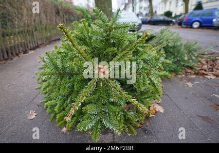 Hamburg, Deutschland. 05. Januar 2023. An einer Straßenecke im Eimsbüttel-Viertel liegen Weihnachtsbäume zur Sammlung bereit. Der kommunale Reinigungsdienst sammelt vom 9. Bis 20. Januar entsorgte Weihnachtsbäume und erwartet nach eigenen Angaben etwa 200.000 Weihnachtsbäume in der Hansestadt. (An dpa „Hamburg City Sanitation Collections discarded Christmas Trees“) Kredit: Marcus Brandt/dpa/Alamy Live News Stockfoto