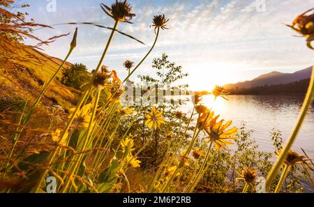 See im Sonnenuntergang Stockfoto