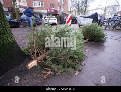 Hamburg, Deutschland. 05. Januar 2023. An einer Straßenecke im Eimsbüttel-Viertel liegen Weihnachtsbäume zur Sammlung bereit. Der kommunale Reinigungsdienst sammelt vom 9. Bis 20. Januar entsorgte Weihnachtsbäume und erwartet nach eigenen Angaben etwa 200.000 Weihnachtsbäume in der Hansestadt. (An dpa „Hamburg City Sanitation Collections discarded Christmas Trees“) Kredit: Marcus Brandt/dpa/Alamy Live News Stockfoto