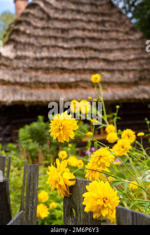 Wunderschöne Herbstlandschaften in Subkarpathien. Stockfoto