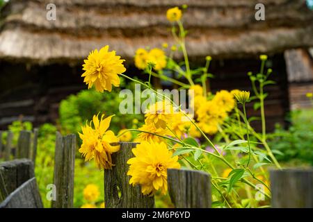 Wunderschöne Herbstlandschaften in Subkarpathien. Stockfoto