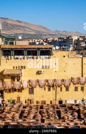 Berühmte Hautgerberei in Fez, Marokko, Nordafrika Stockfoto