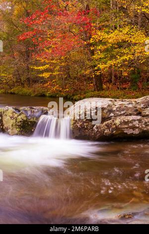 Kaskade am Little Pigeon River im Great Smoky Mountains-Nationalpark, Tennessee Stockfoto